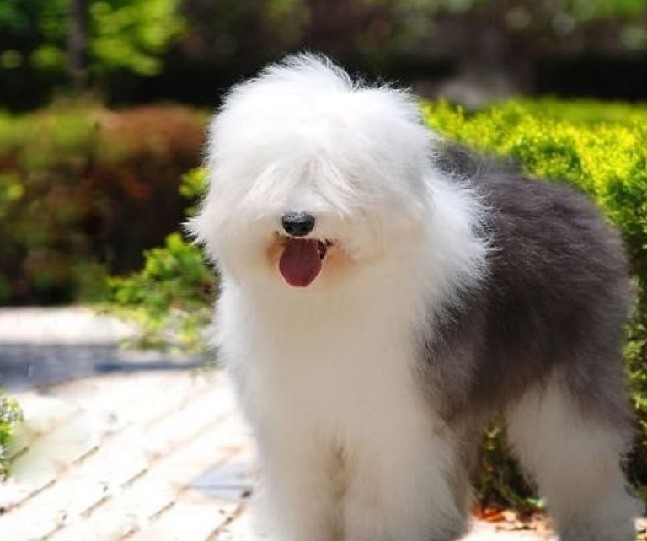 话说回来,你们不觉得滨波很像那个…… nga玩家社区