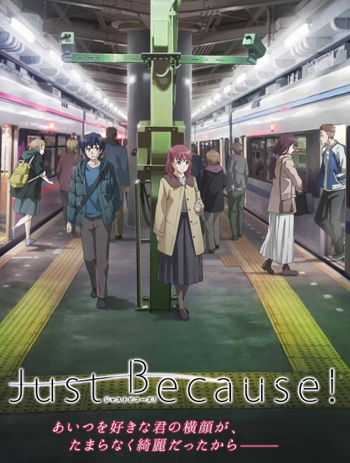 动画评分2017年10月番评分justbecause