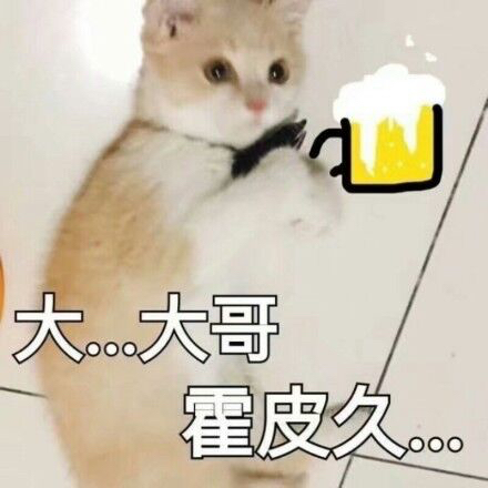 求专属冰阔落表情包
