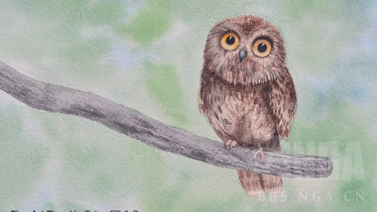 脑洞炒鸡脑洞侏儒德鲁伊已经被萌翻了暴雪不采纳是暴雪的损失了