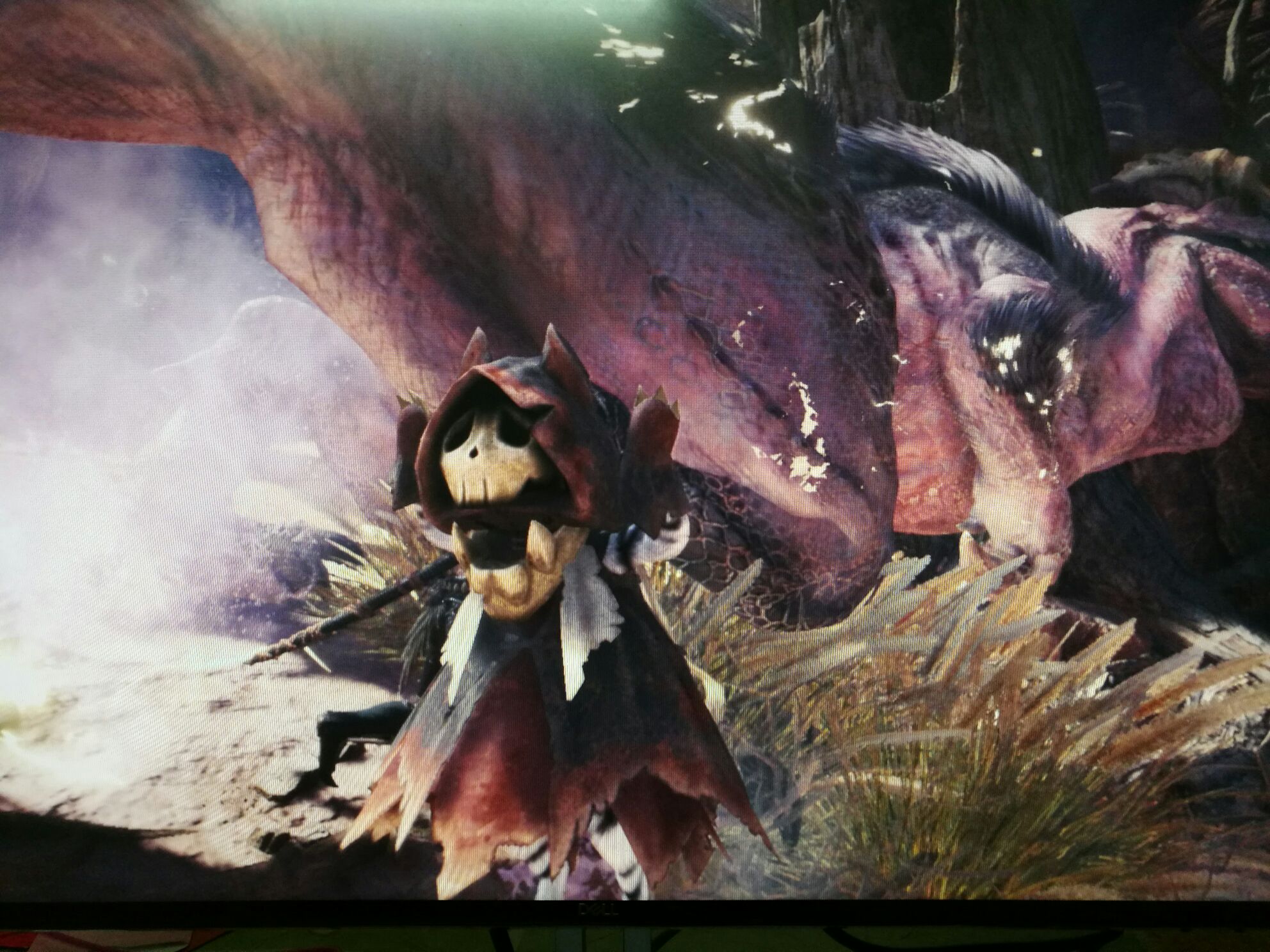 蛮颚龙宝玉竟然是怨念物