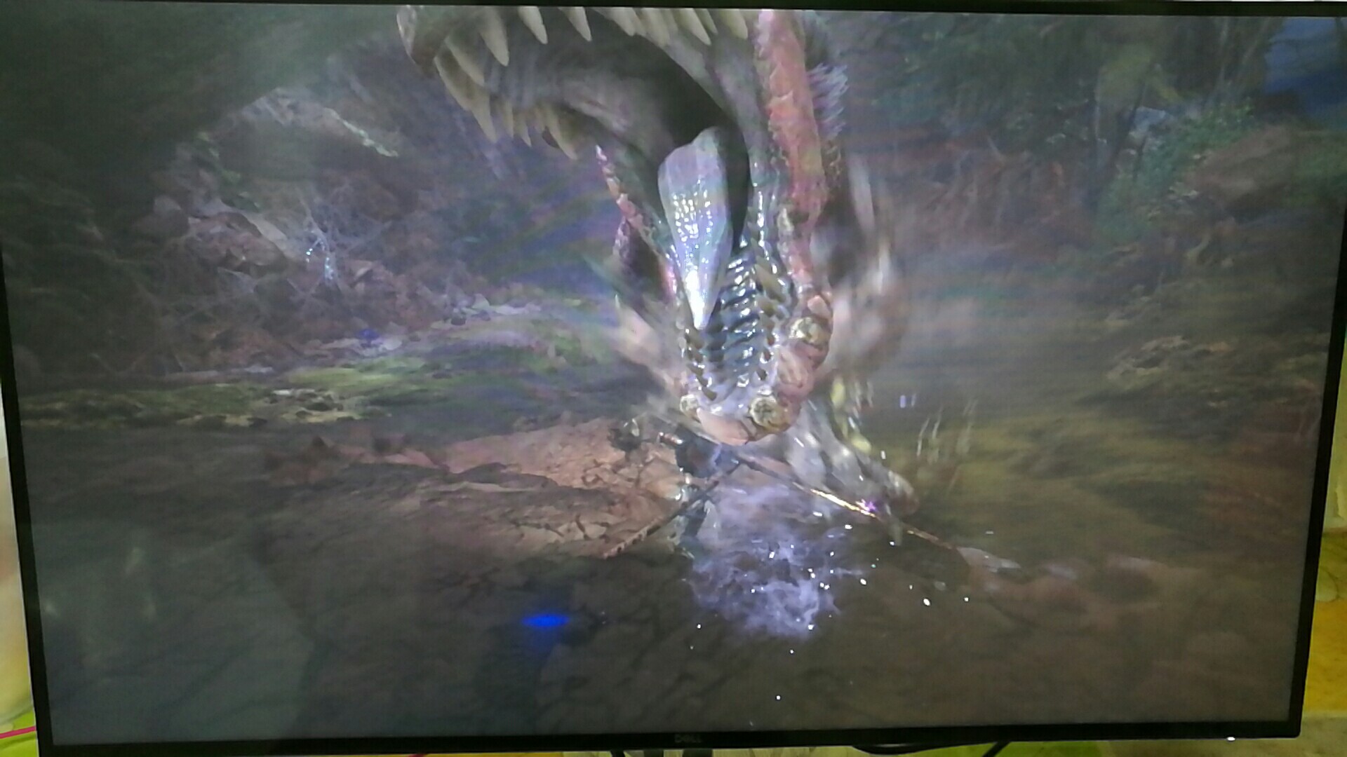 蛮颚龙宝玉竟然是怨念物