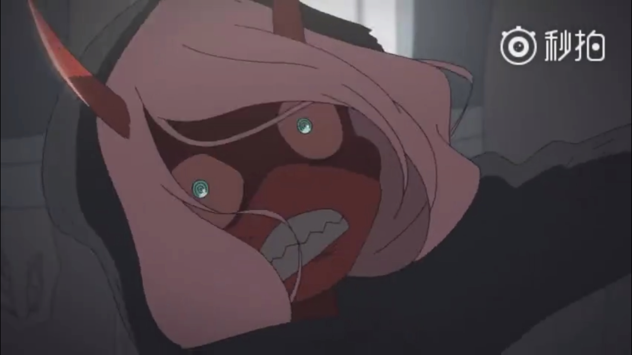 讨论小时候的红皮泽拉图真可爱啊