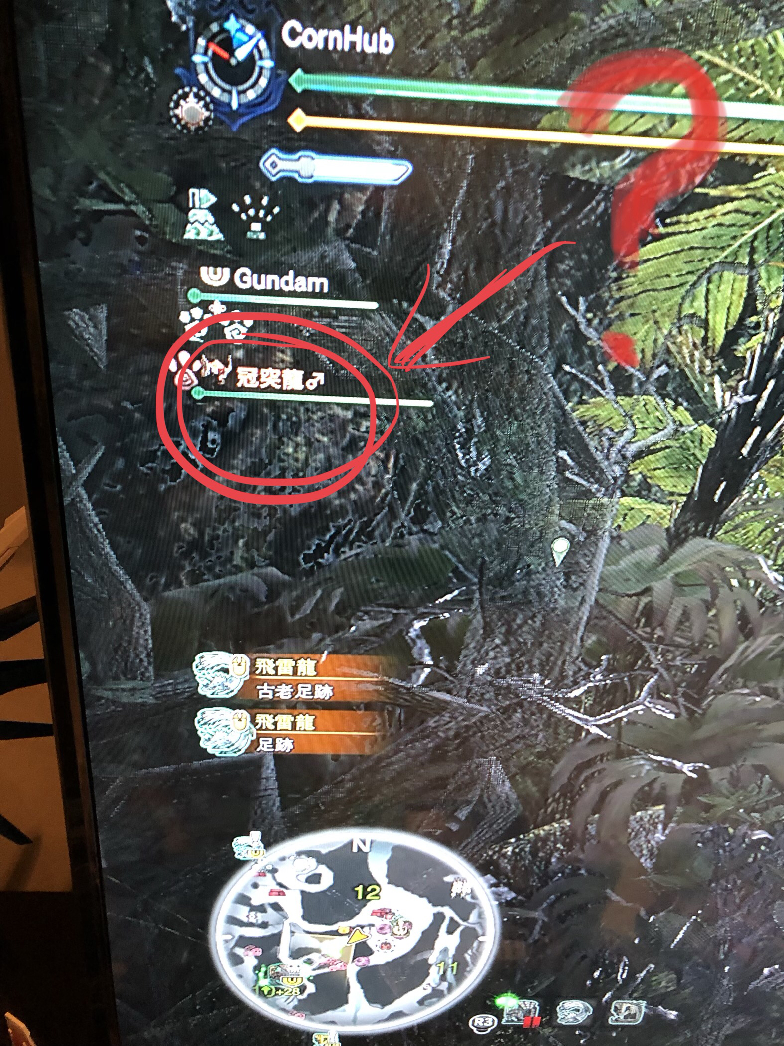 为什么冠突龙成了随从后名字旁边还非得加个骚气的