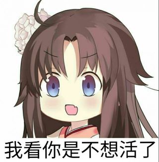 艺术审美e求式姐表情包已解决