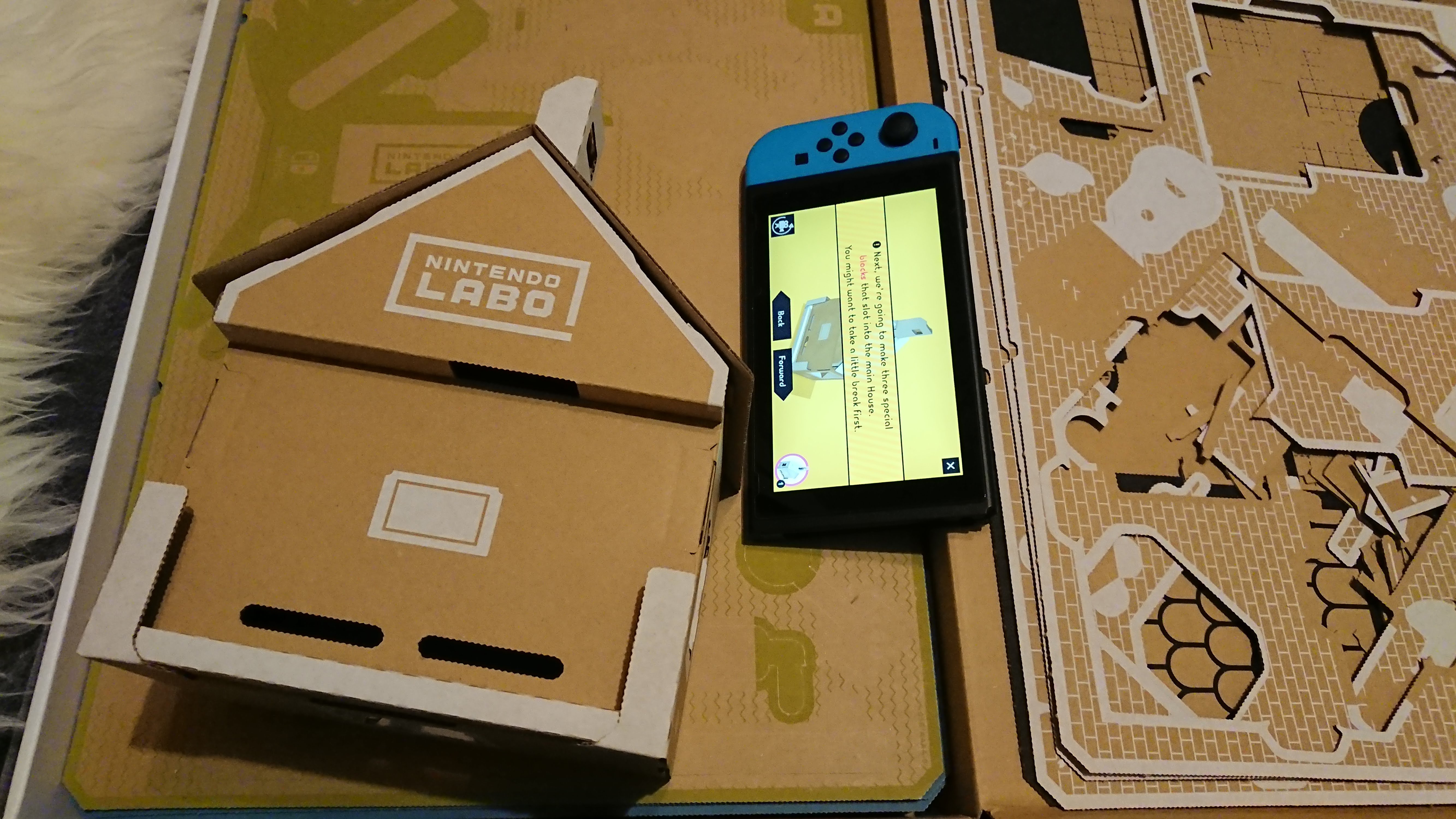 nsnintendolabo拼装体验