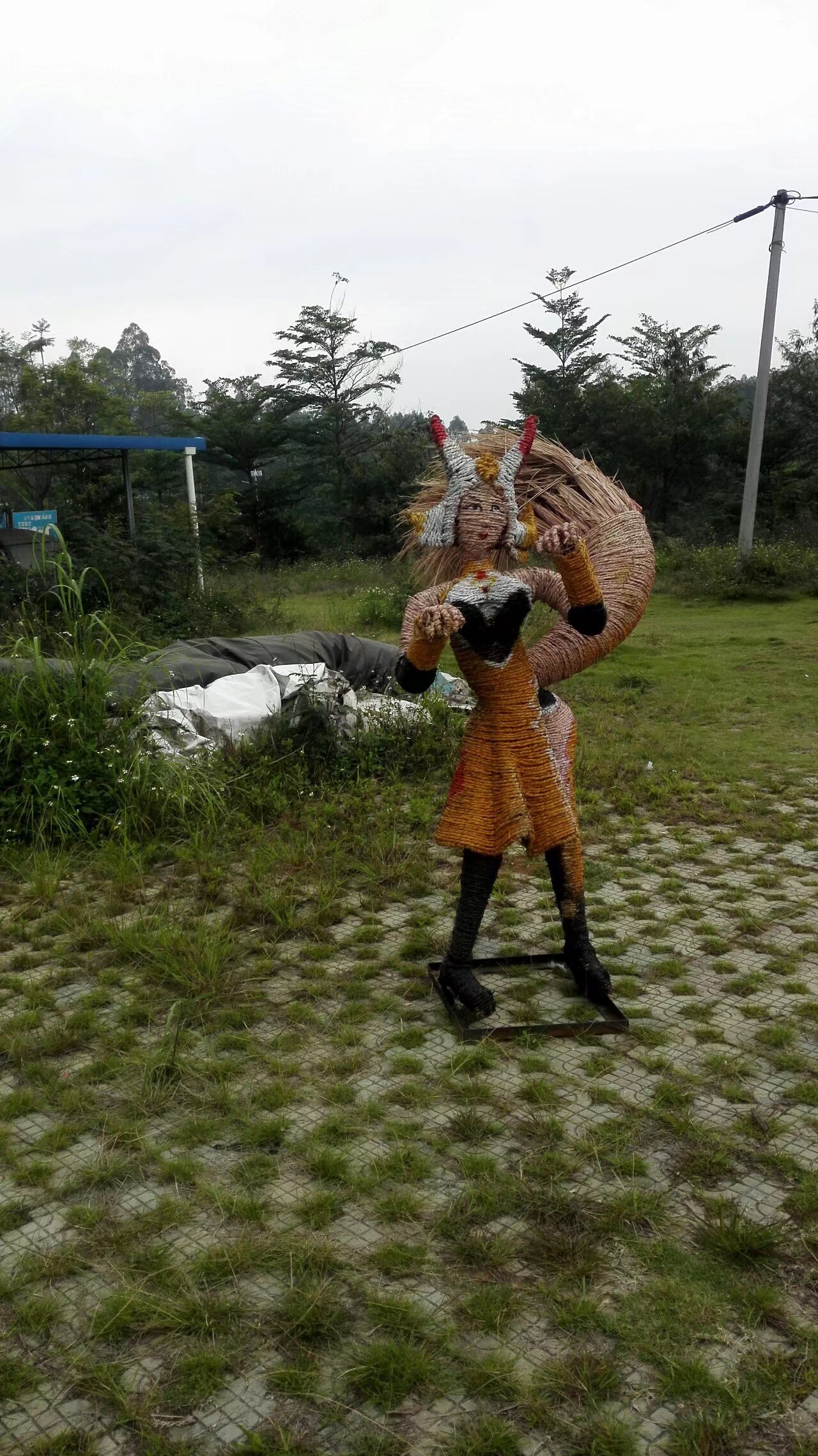 慎入警告多图杀猫传说中的王者乐园