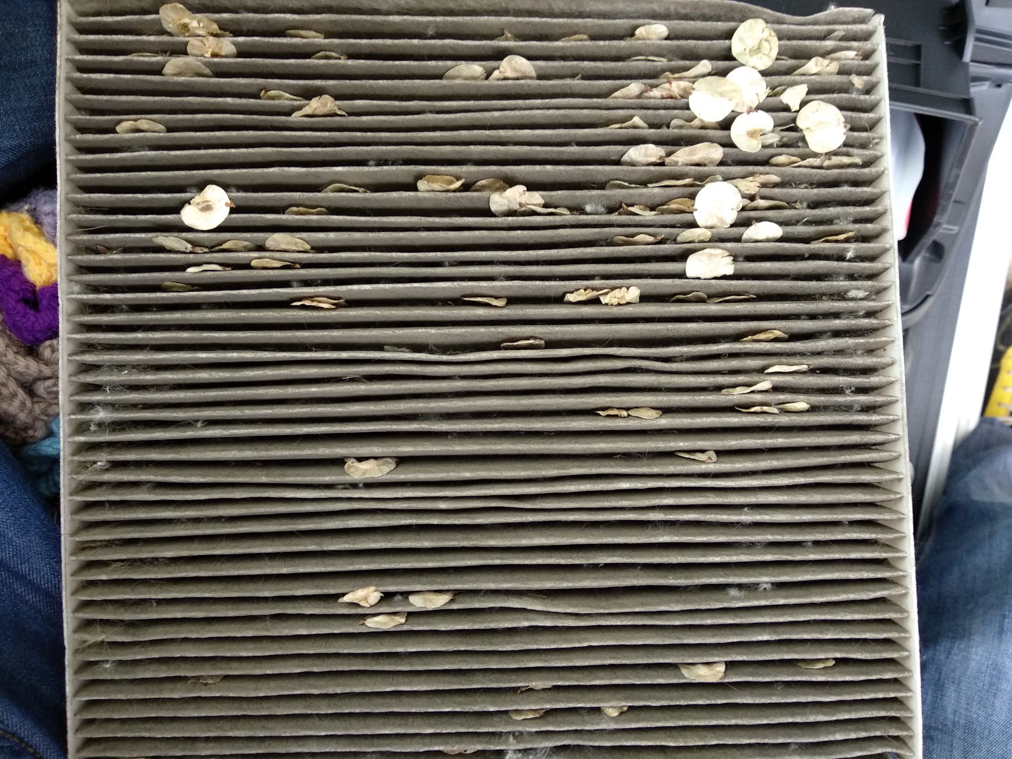 我操自己换空调滤芯这脏的