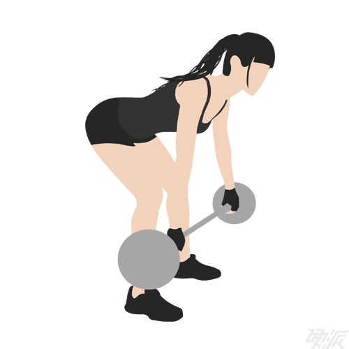 大神能不能指导一下杠铃划船…有视频