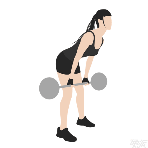 大神能不能指导一下杠铃划船…有视频