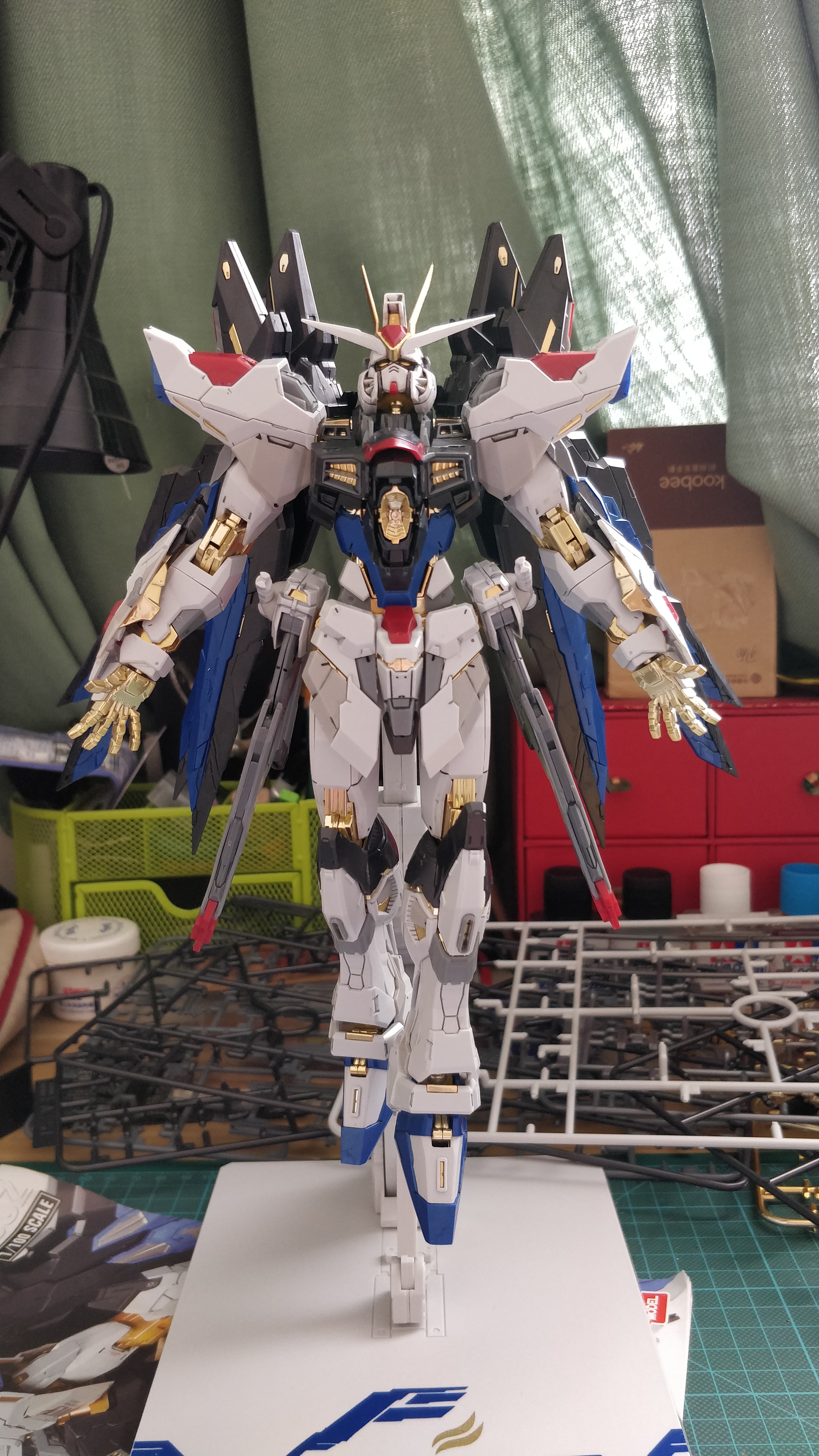 新人入坑,大班mb强袭自由