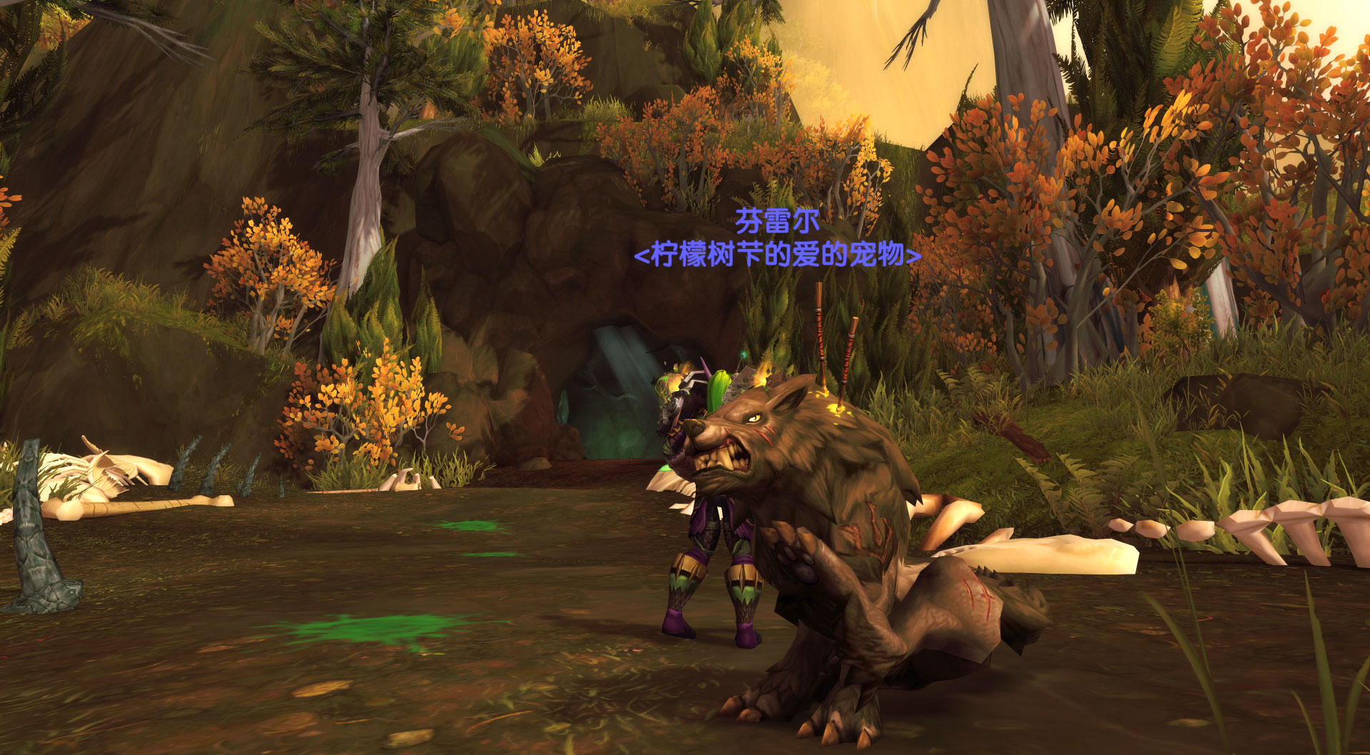 35翻新版]魔兽世界猎人珍稀宠物图鉴百科 ——"星际团队续开发,新版