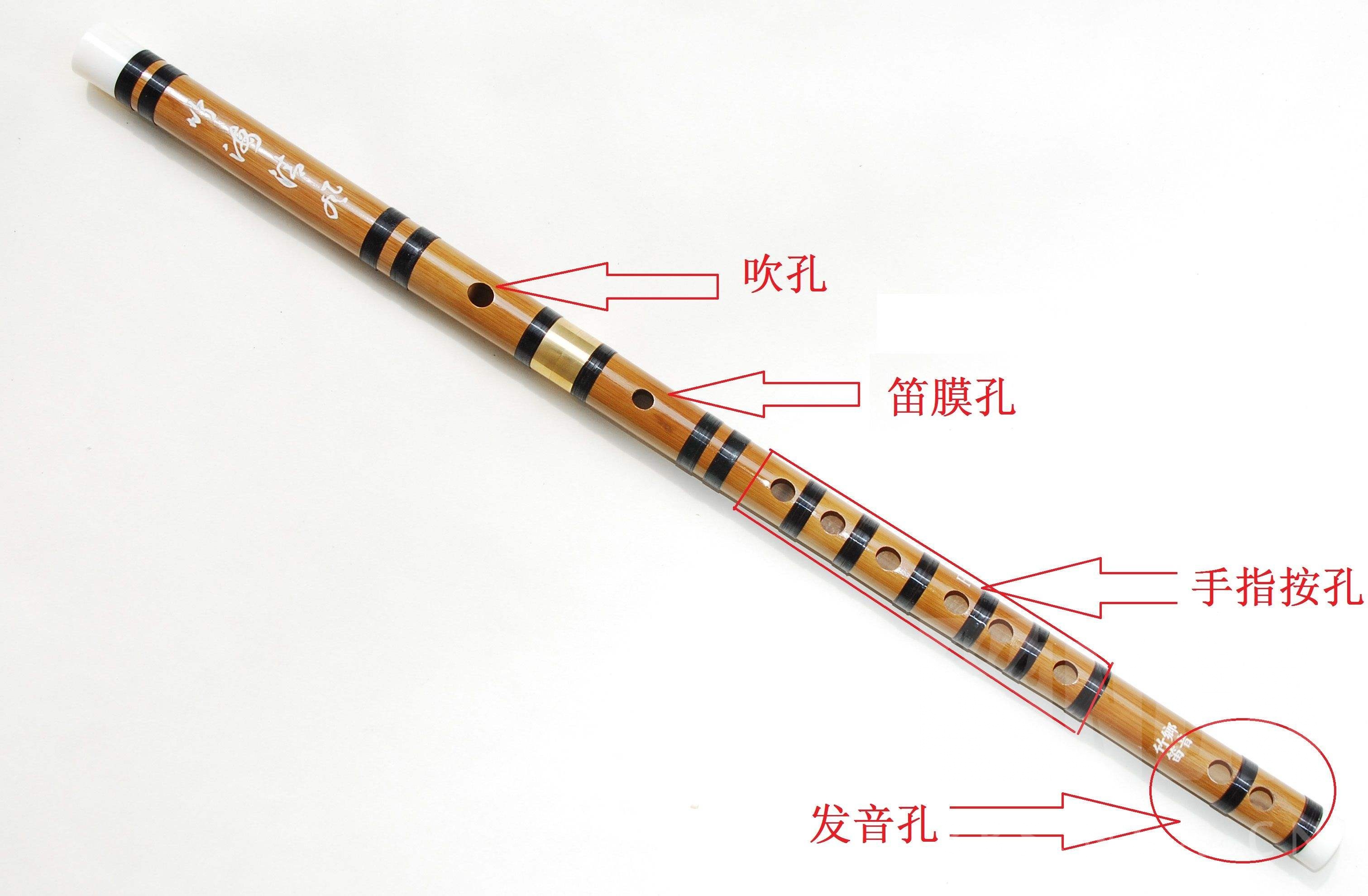 谁家玉笛暗飞声散入春风满洛城聊聊我国传统乐器笛子