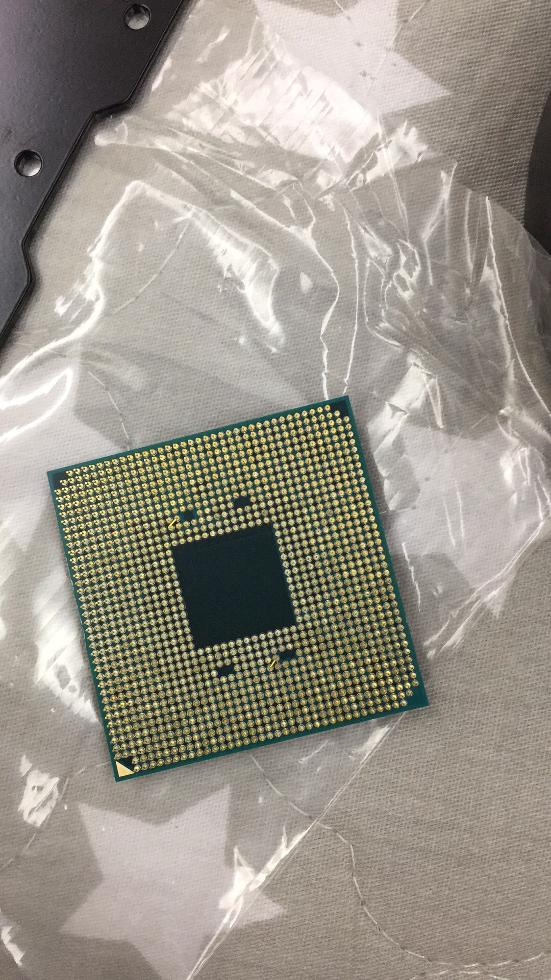 急2600x的针脚是长这样的么