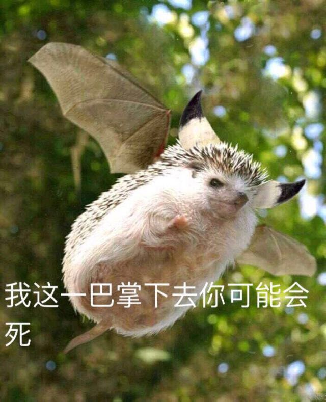 []觉得咩咩子好帅,做了个表情2333