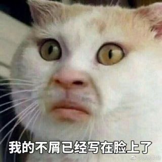 活了? nga玩家社区