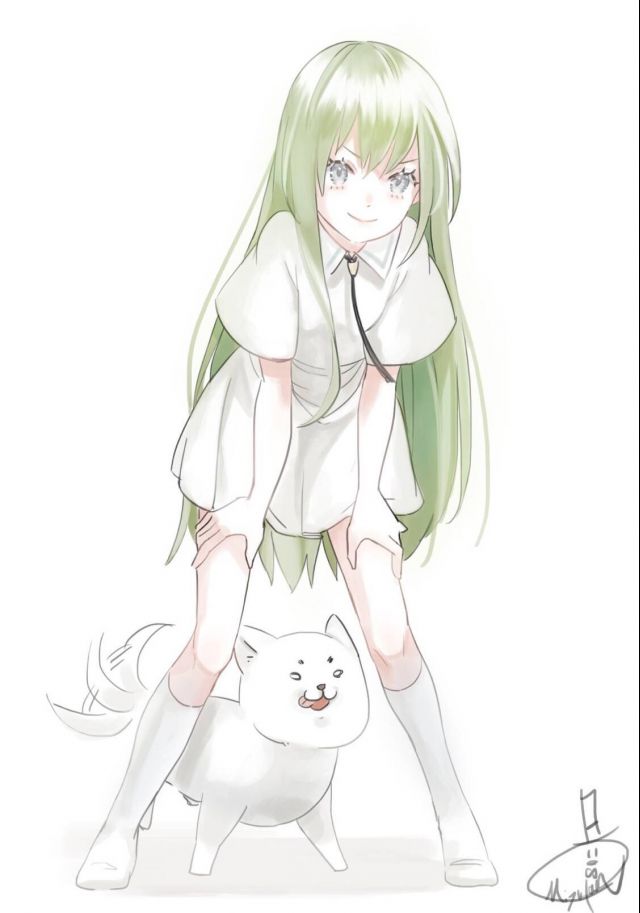 提问求助那个请问你们有没有恩奇都的那种图呢