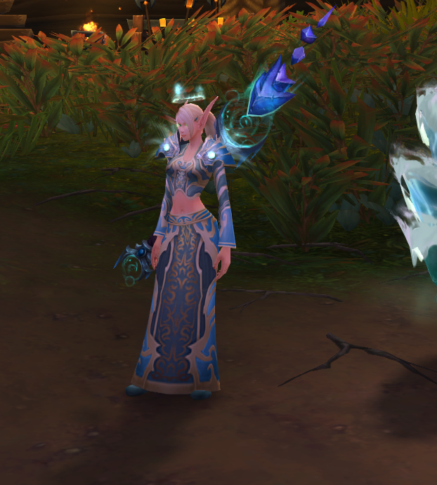 看到隔壁《熊猫人绝不滚出幻化界》有感,求女法师血精灵幻化推荐.