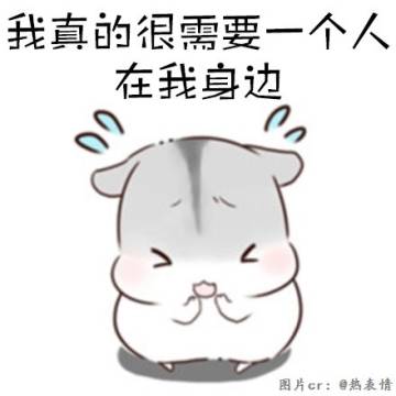 我的光德骑士何去何从