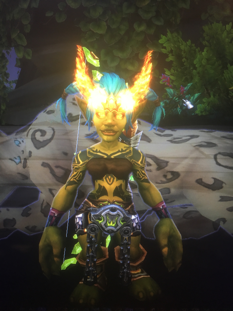 地精驭龙者束衣幻化