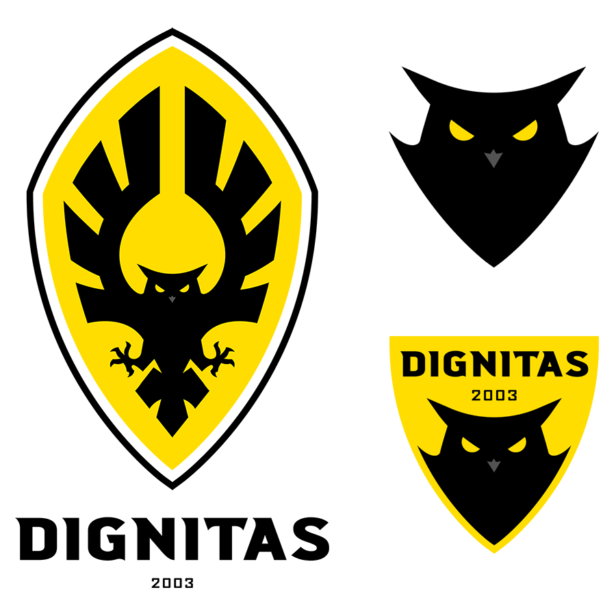 dig更换了新队标