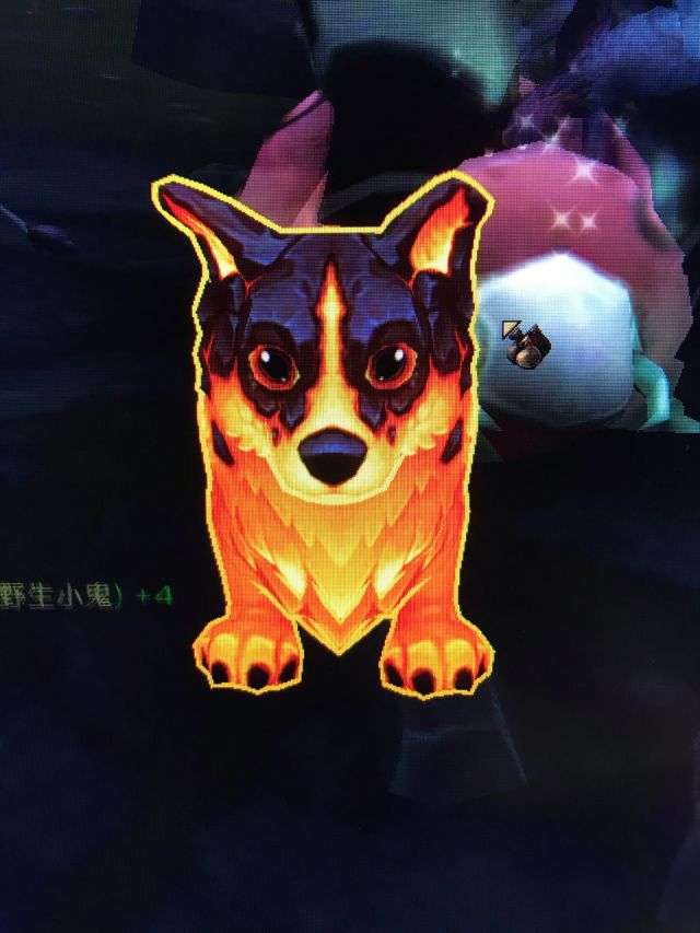 额,特别是宠物,狗狗的模型都特别可爱细致,溜溜啊熔火幼犬啊什么的,熔