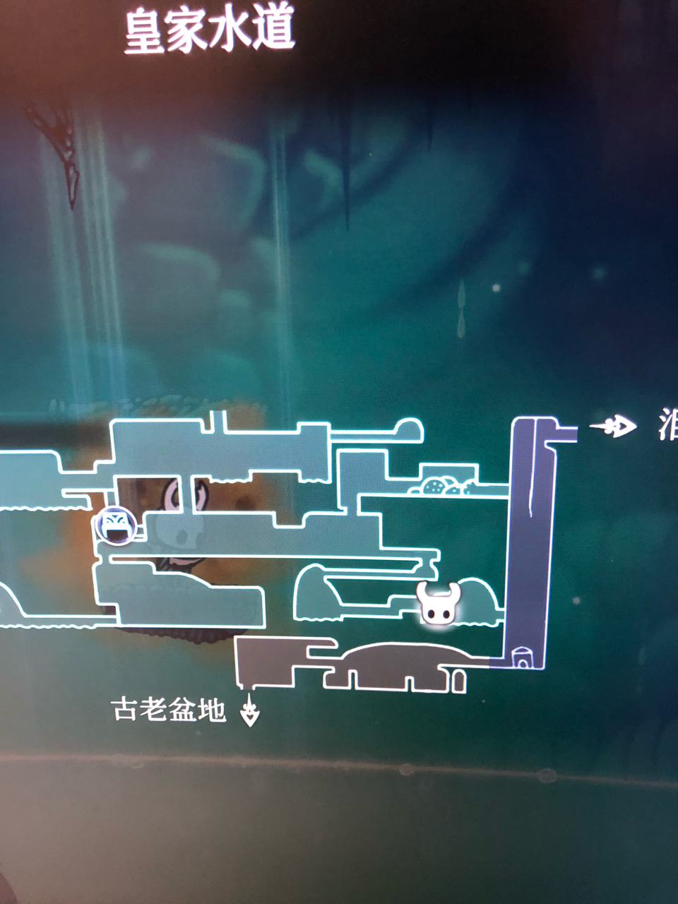 举手提问空洞骑士的酸泳怎么拿