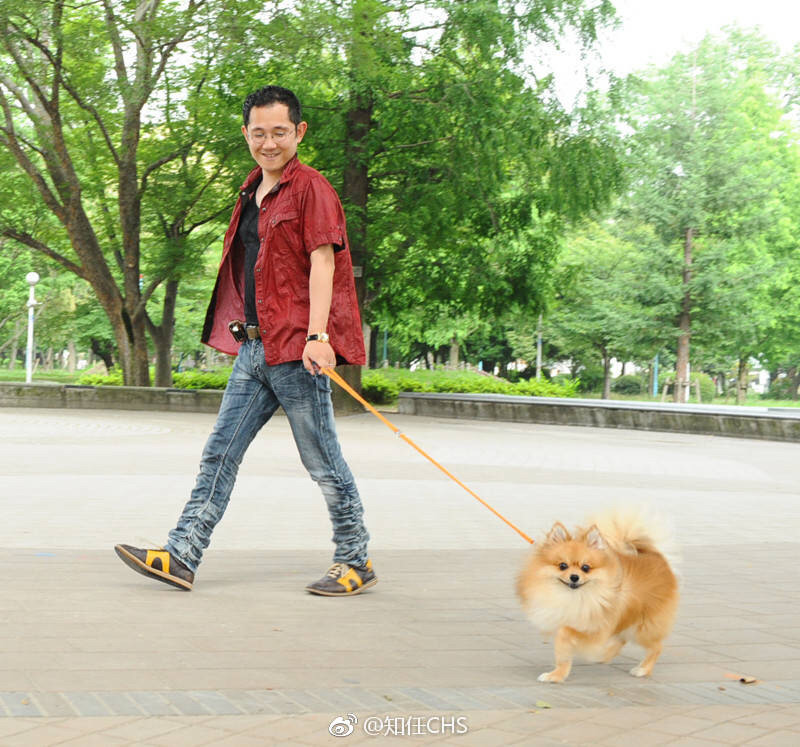 巧舟爱犬导弹去世曾在幽灵诡计逆转裁判等作品中出场