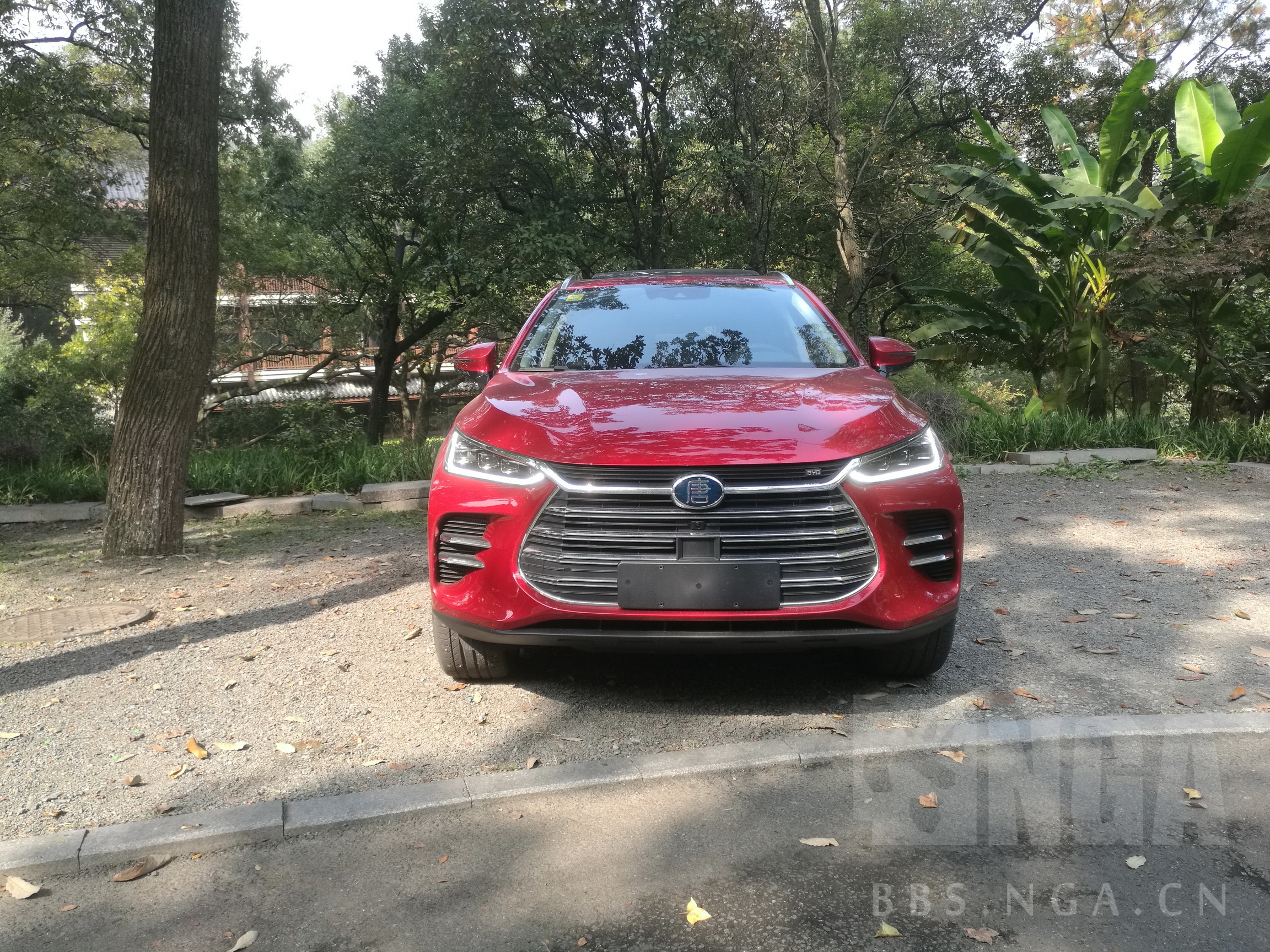 [车版专栏-提车作业] [一二血已交,防三四五血]byd 唐dm 赤帝红 提车