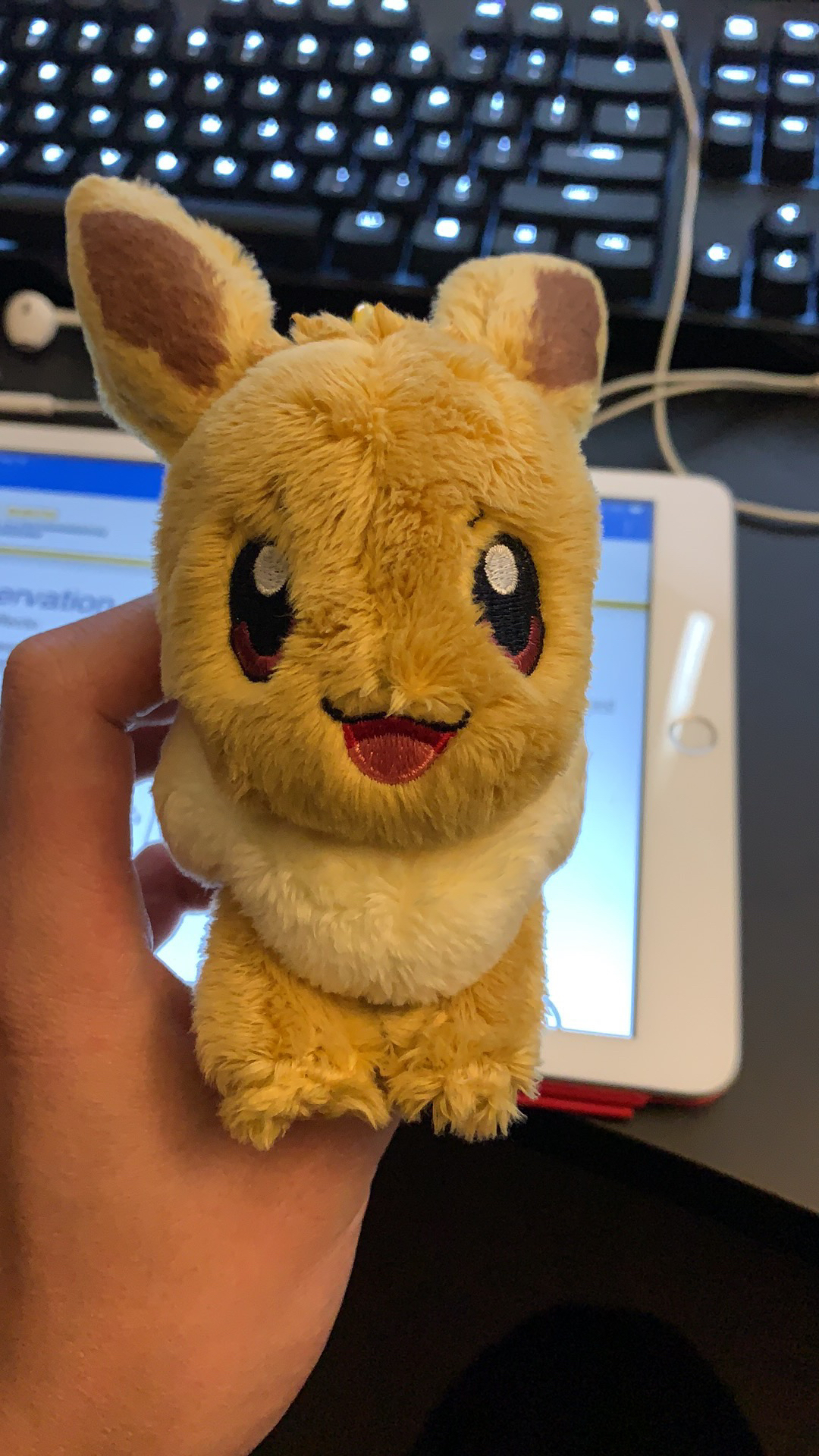 pokemoncenter送的玩偶太吉尔丑了