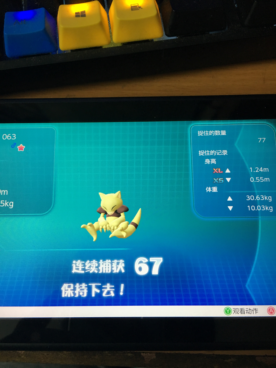 抓闪光凯西抓到倾家荡产