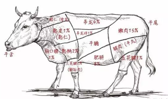 关于潮汕牛肉火锅中的吊龙