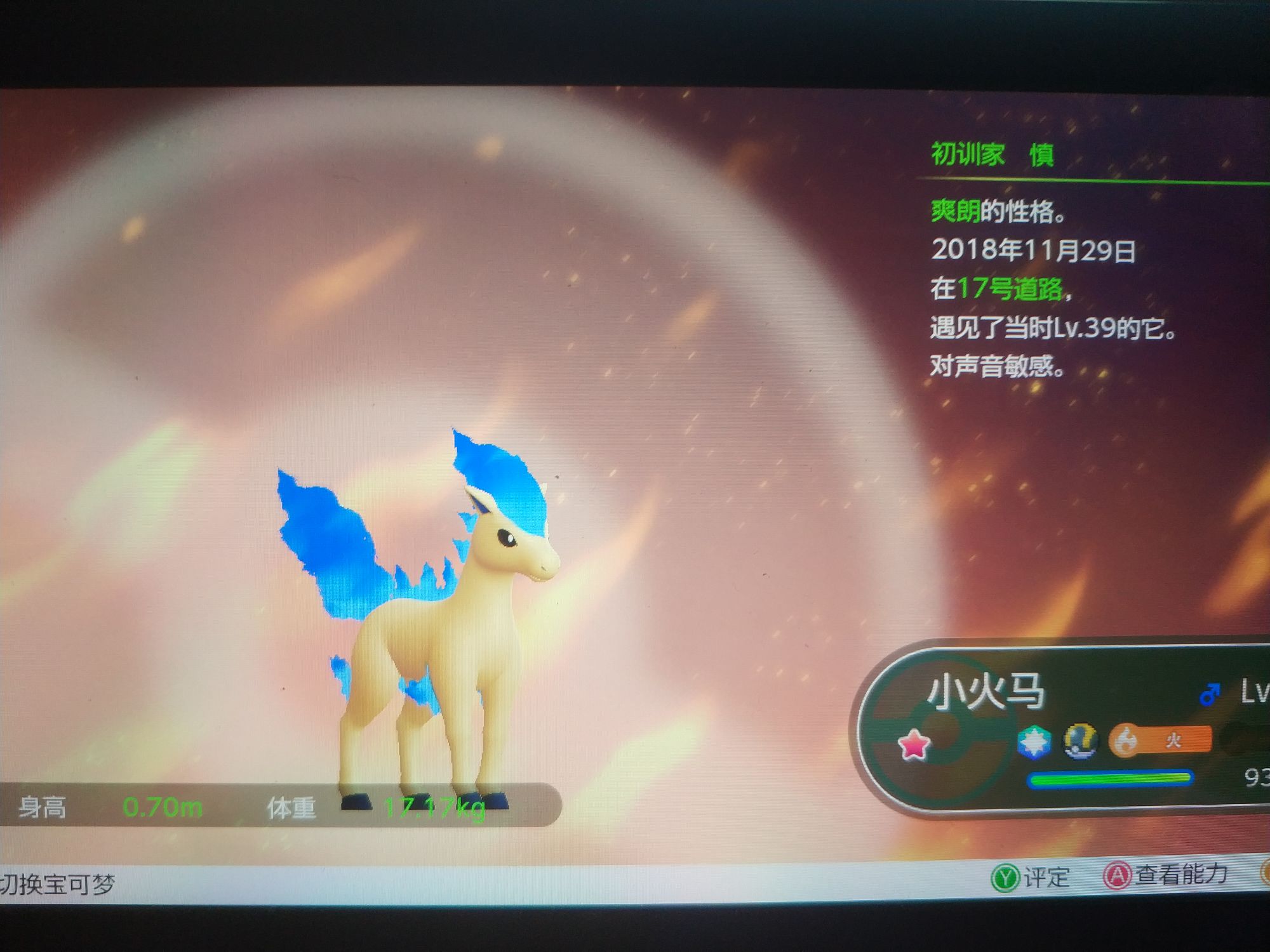 爽朗闪马换别的闪已交换