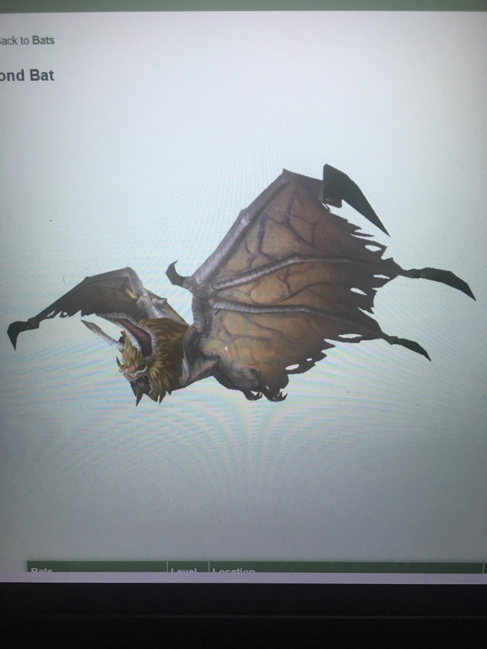 求助白色蝙蝠宝宝