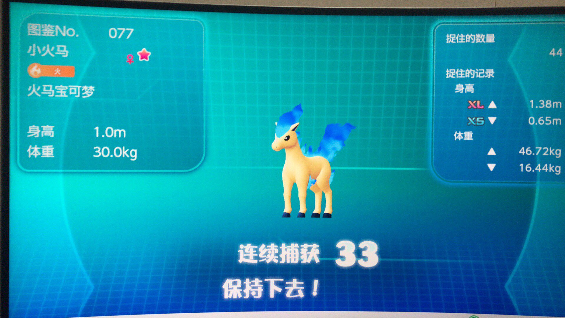 爽朗闪光小火马换其他对性格闪光
