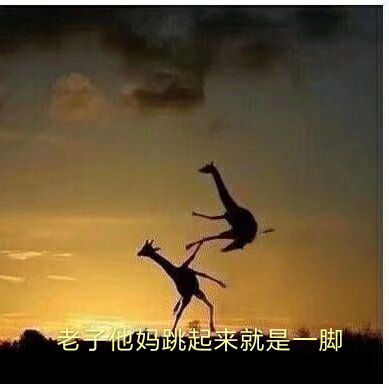 求一张"我狗蛋飞起来就是一脚"的表情包