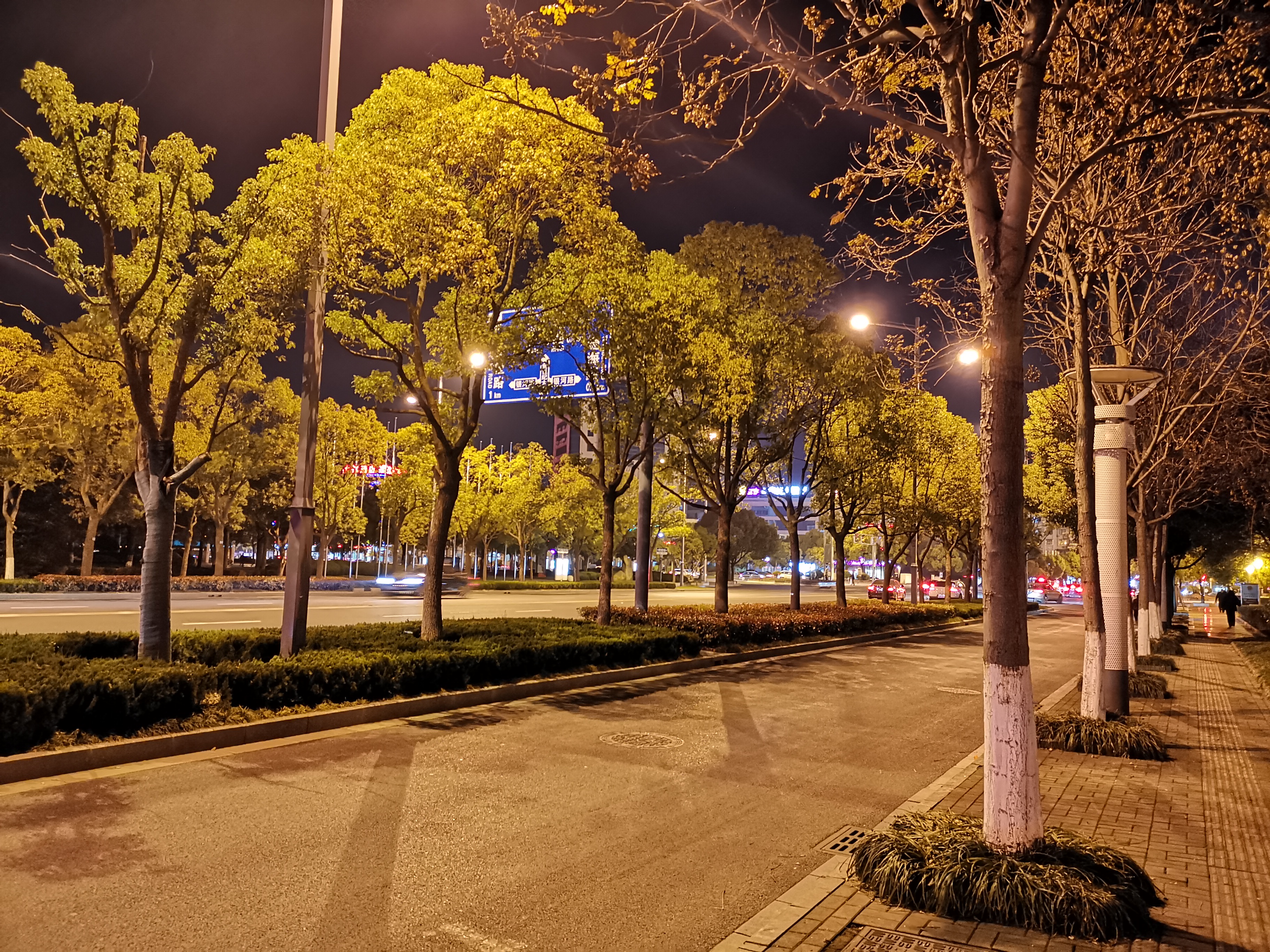 xr的夜晚拍照真垃圾啊