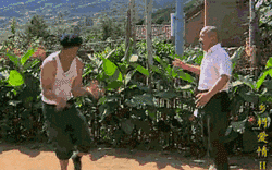 所以大家有什么表情包推荐吗