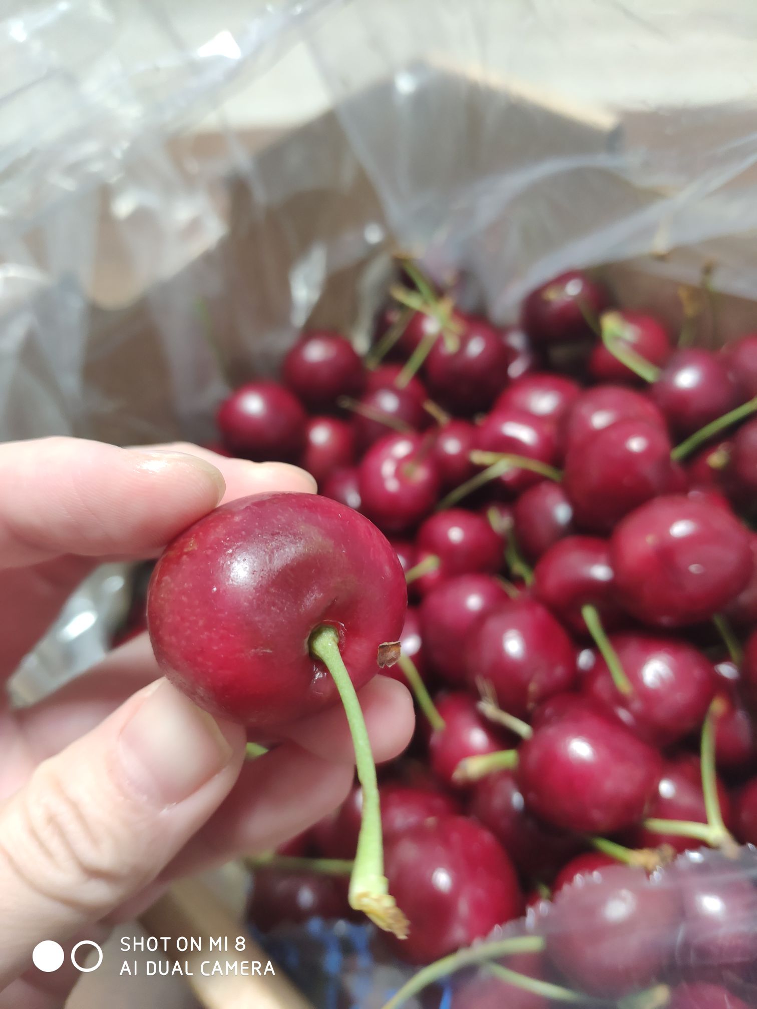 京东的jjj樱桃翻车了13严重裂伤压烂13是软塌塌的有坏的地方118已协商