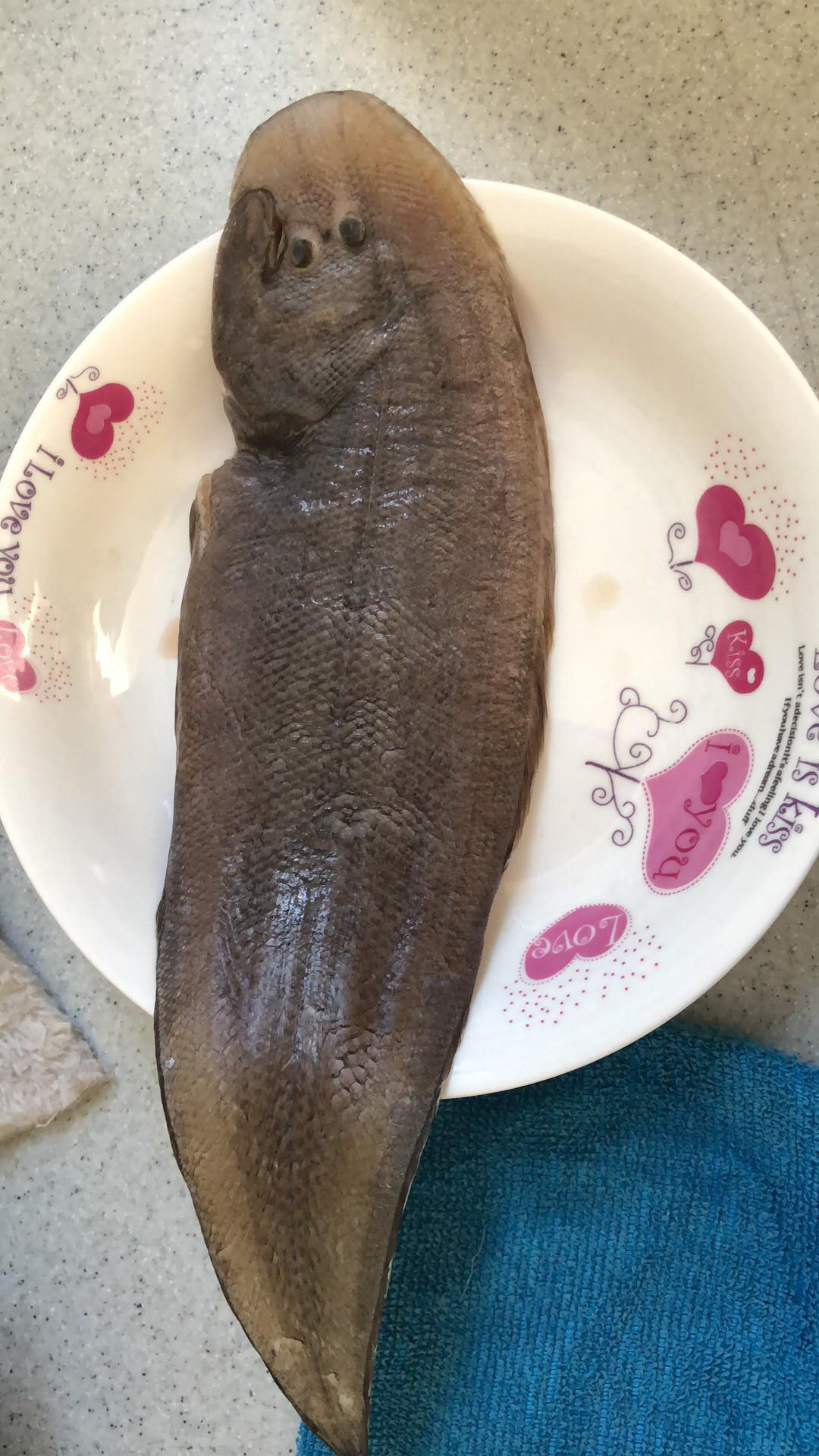 长见识了原来这个才是龙利鱼