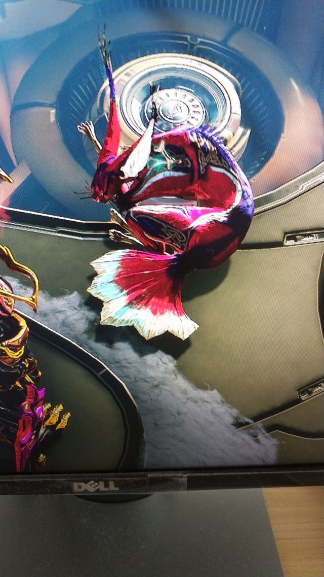 游戏综合讨论 游戏专版/合集 星际战甲/warframe 现在最好的笑猫切片