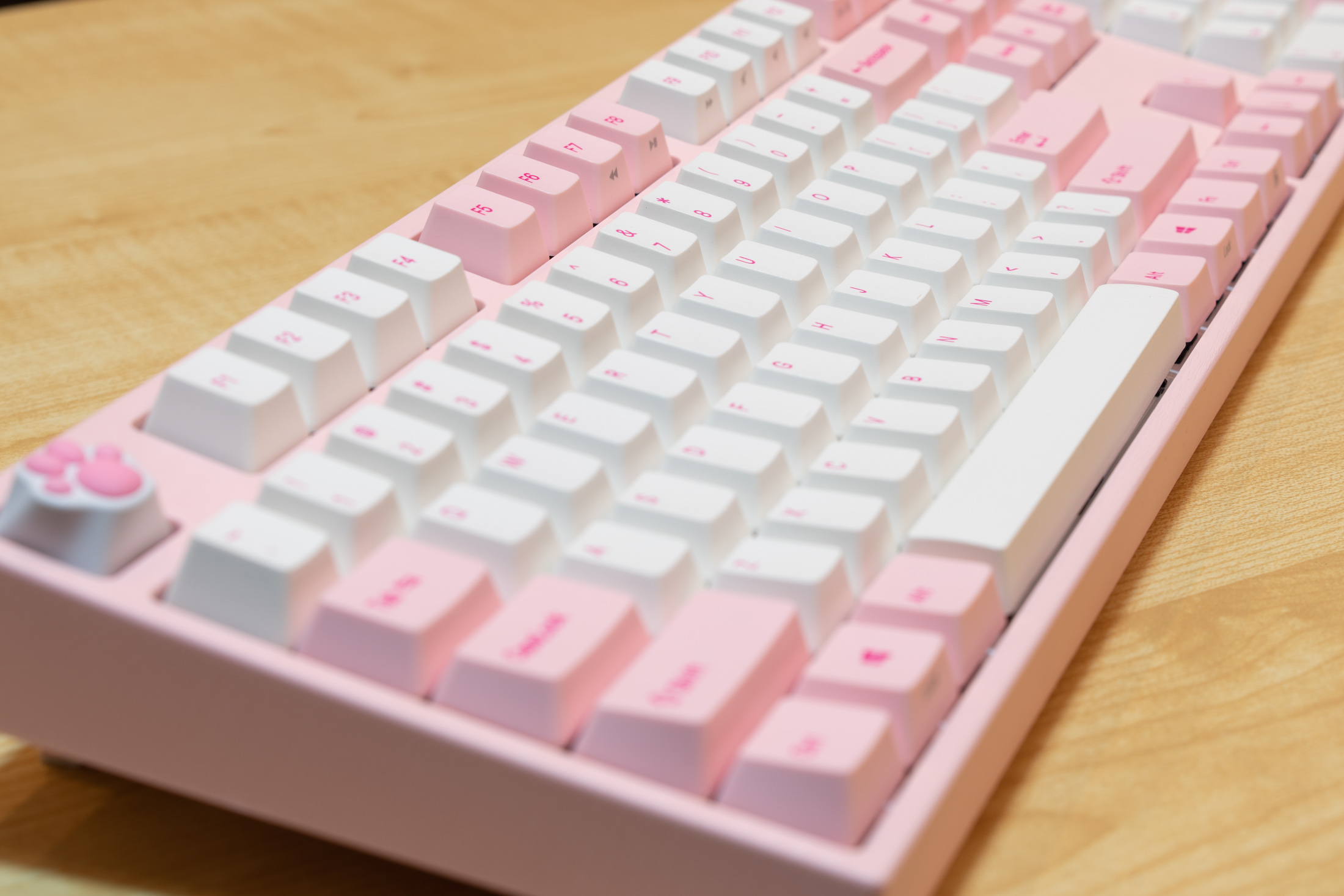 作业贴第一把机械键盘阿米洛樱花
