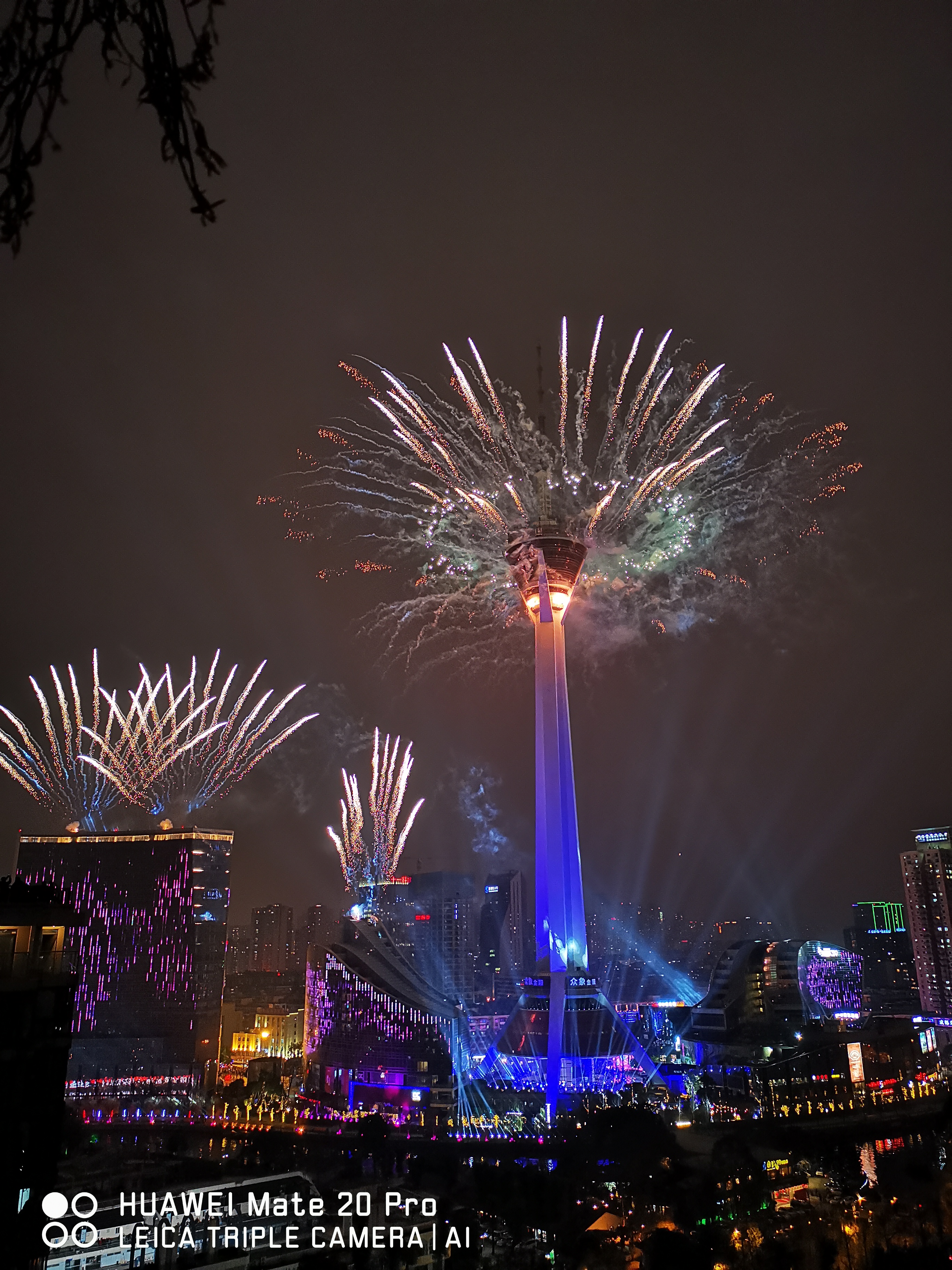 看来菊花拍照功力还是比较深厚手持拍烟花能这样不错了