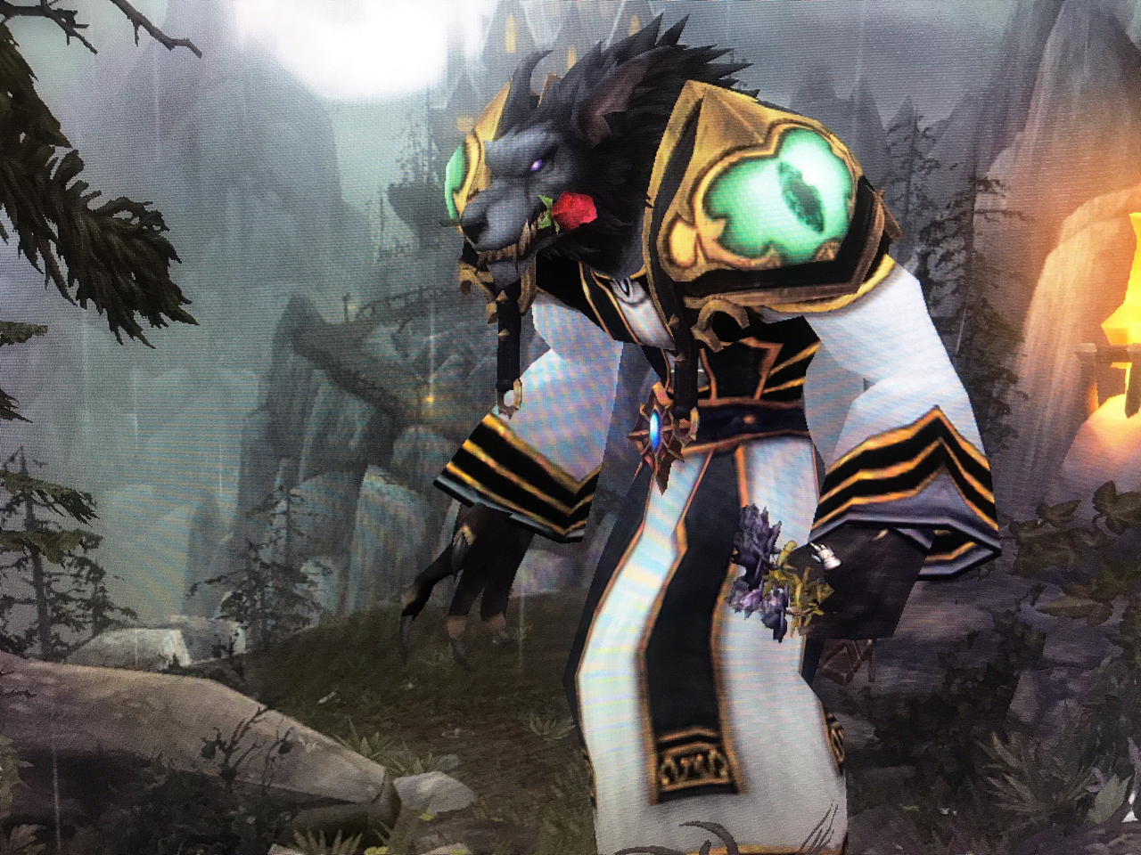 来晒一手狼人fs幻化