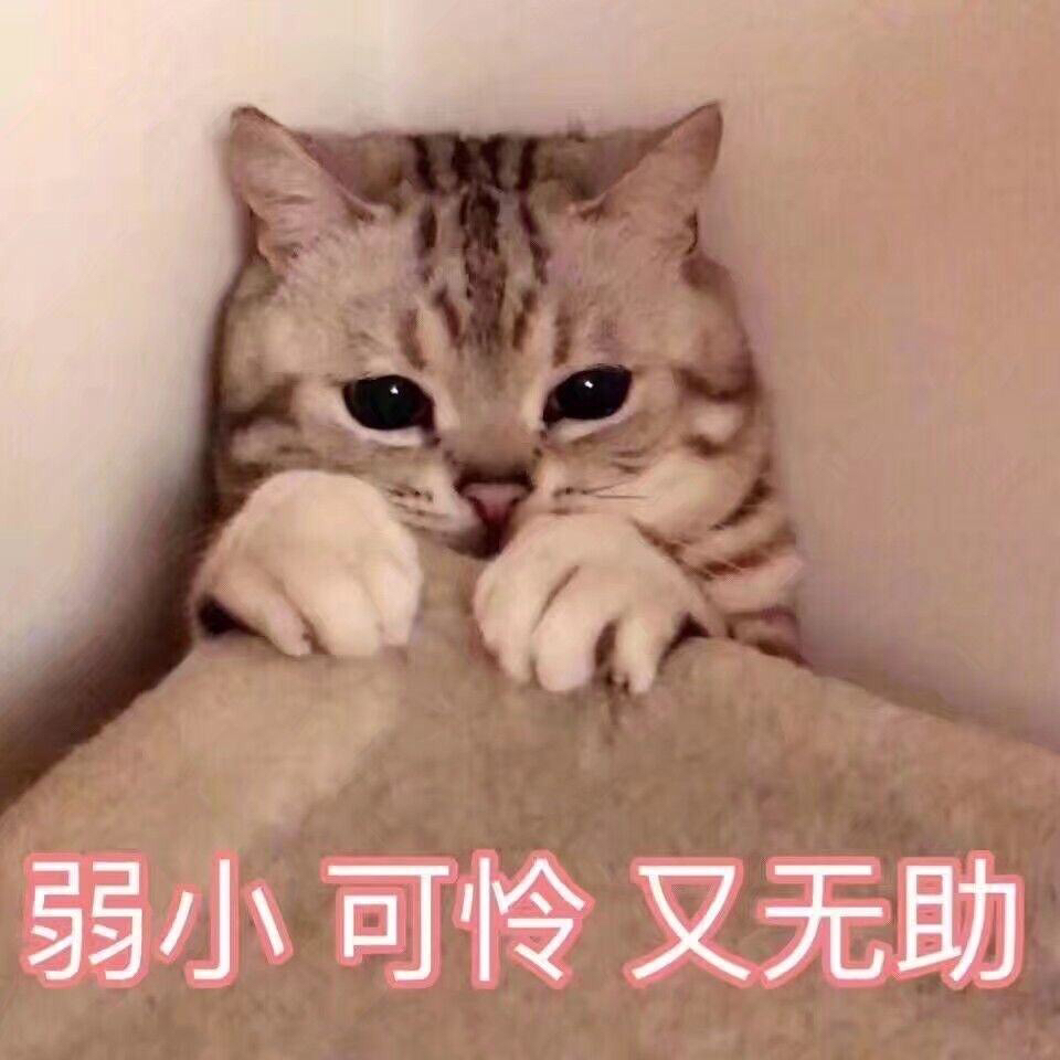 漩涡冲鸭