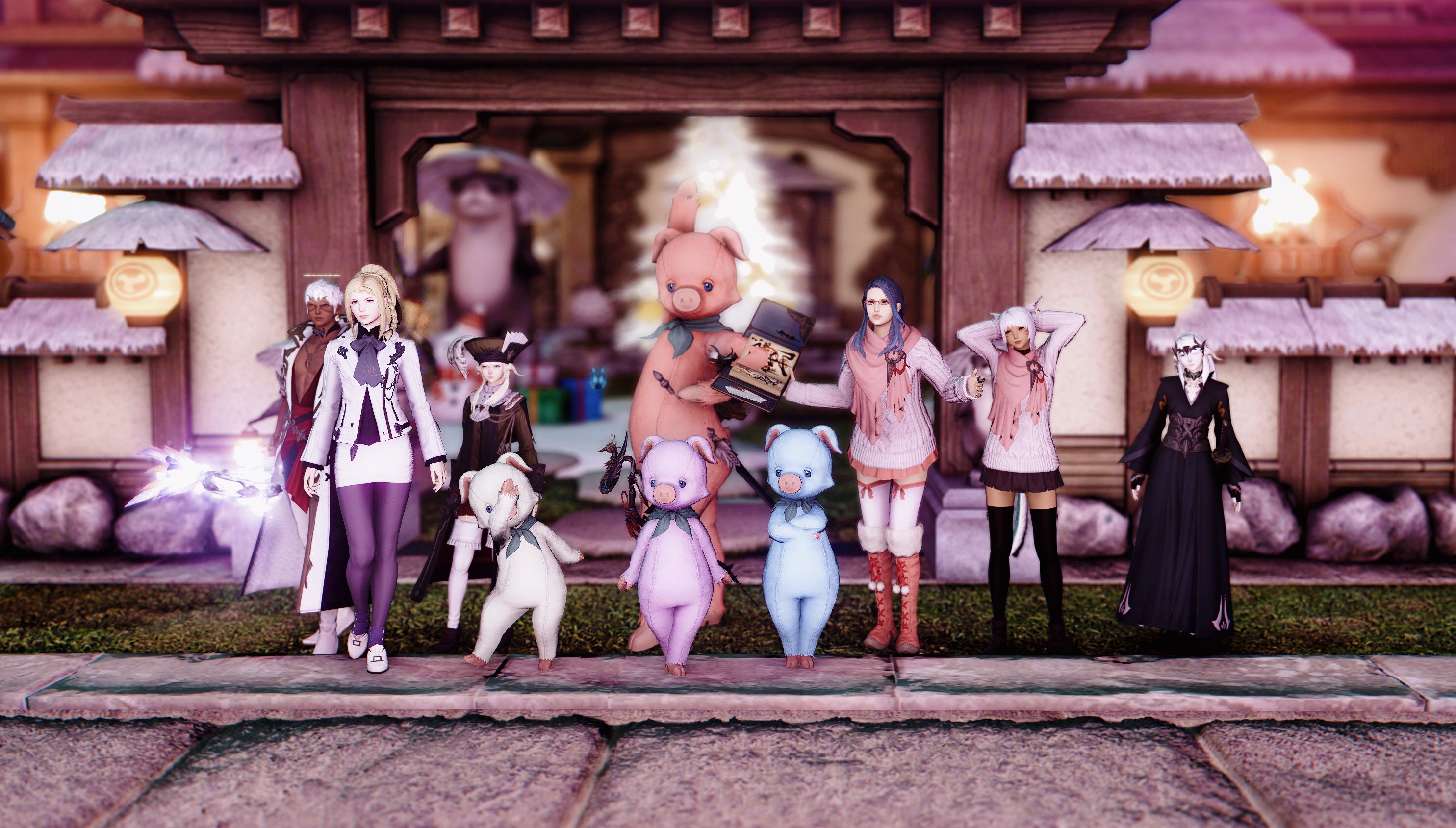 部队招募延夏部队寄叶招人啦