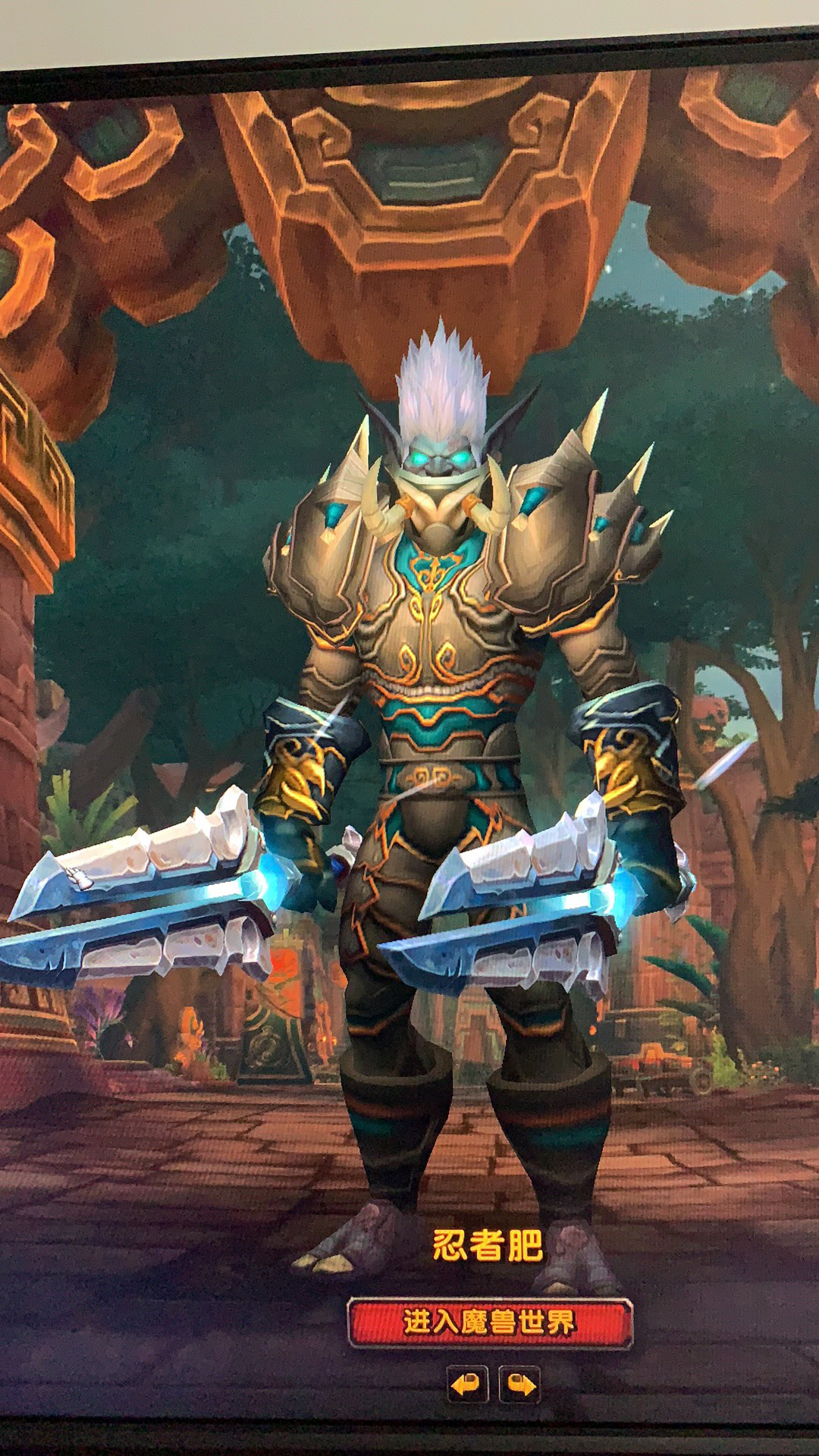 [幻化] 邪能[赞达拉巨魔盗贼]终极幻化(更新黄金幻化以及其他种族试穿