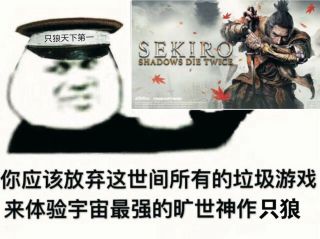 谁有只狼版的"没买的都t了"表情包的