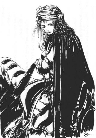 [微博搬运][多图无折叠]天野喜孝联动fgo的新画作