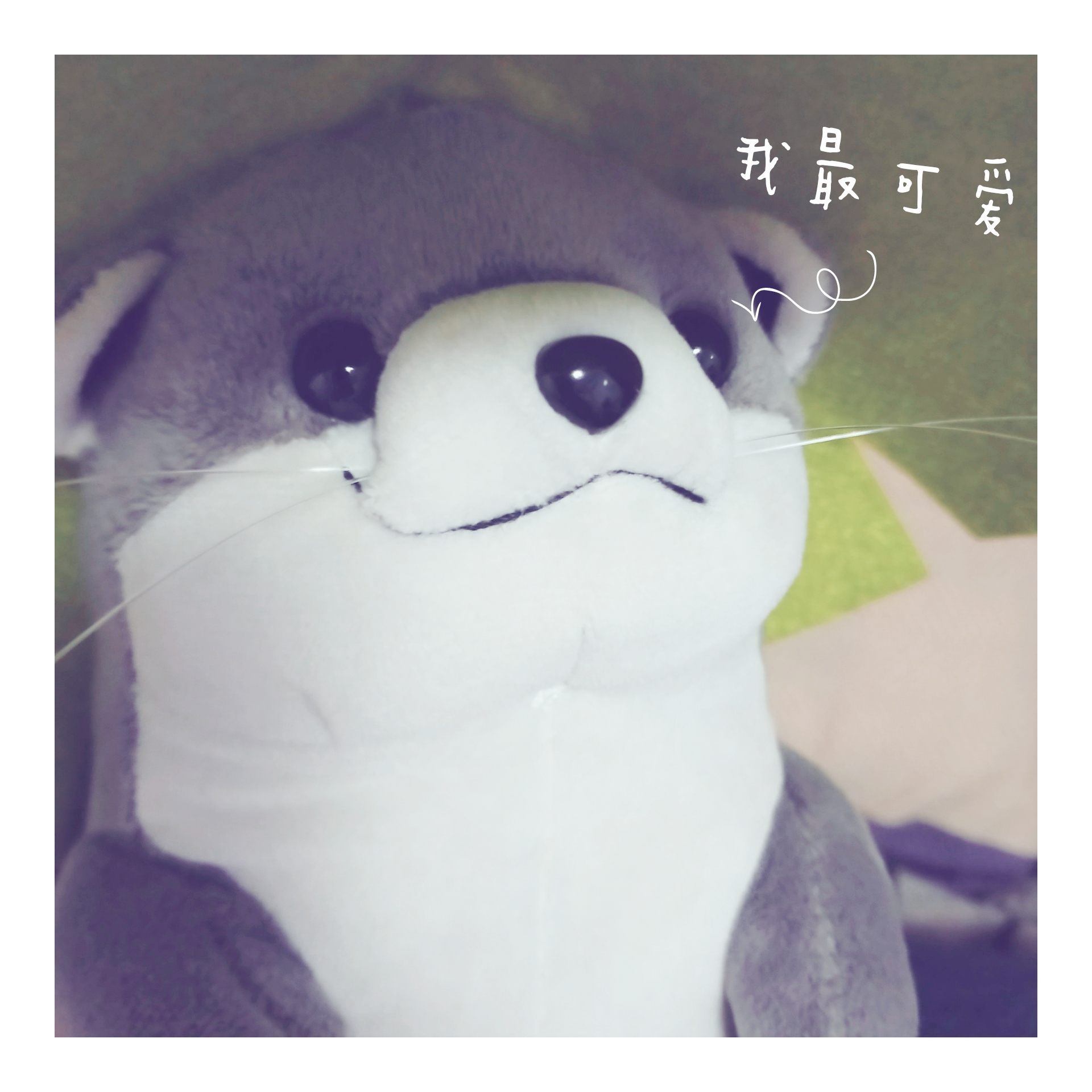 [破事水]非常真实的獭獭买家秀